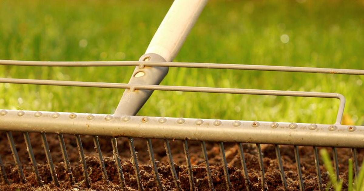 Rasen(d) schnell zu neuem Rasen | Liebe Deinen Garten